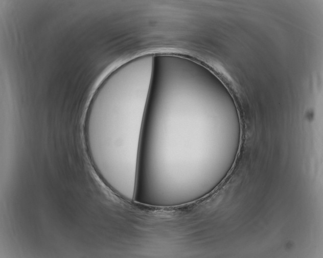 X0000097461181200802220800