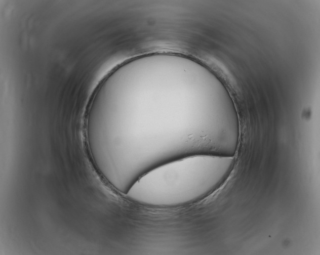 X0000097461182200802220800