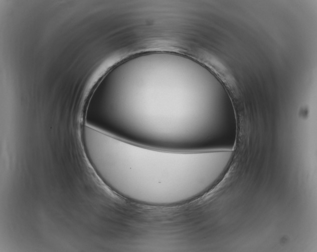 X0000097461188200802220800