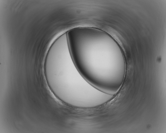 X0000097461197200802220759