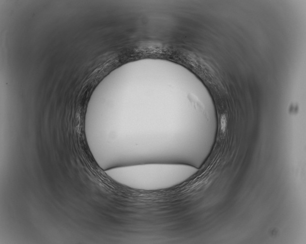 X0000097461203200802220759