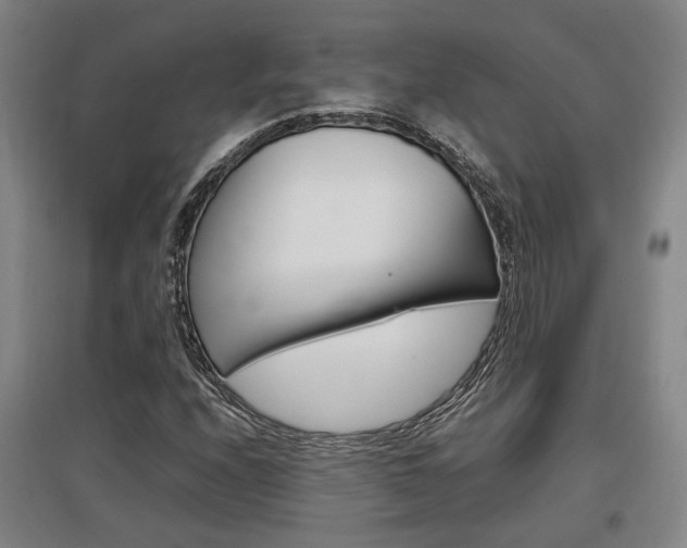 X0000097461208200802220759