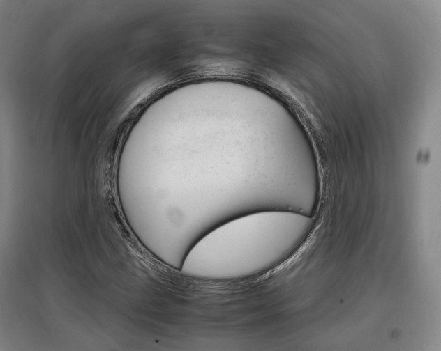 X0000097461211200802220759