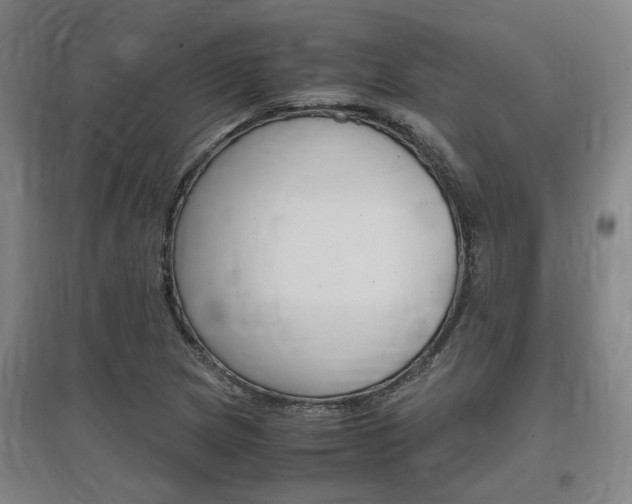 X0000097461217200802220759
