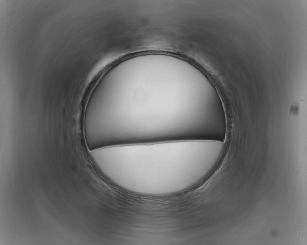 X0000097461222200802220759