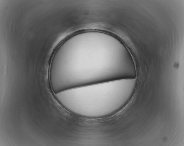 X0000097461224200802220759