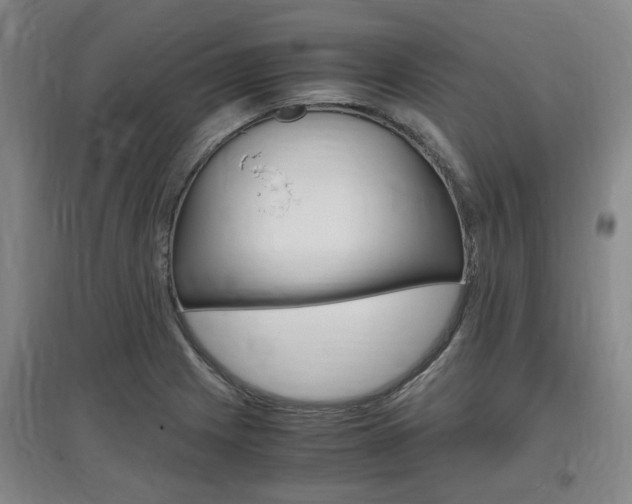 X0000097461225200802220759