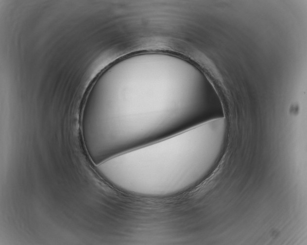 X0000097461226200802220759