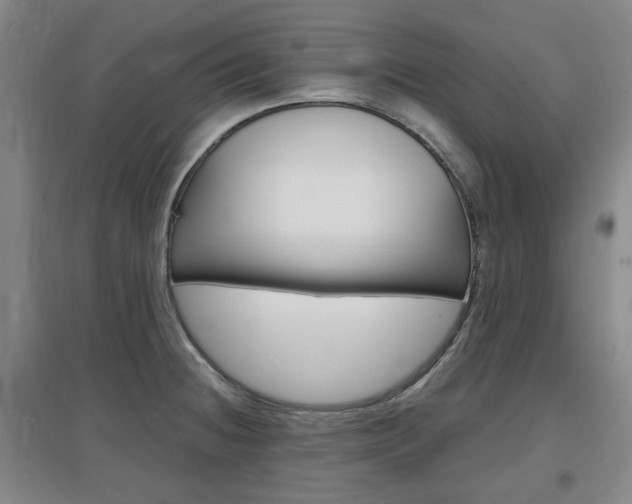 X0000097461236200802220759
