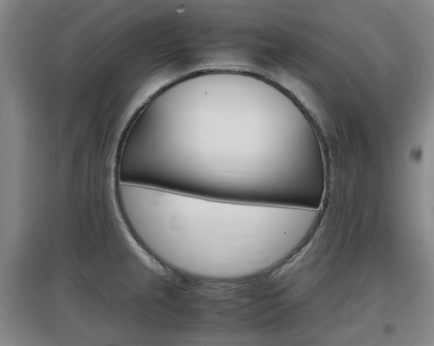 X0000097461237200802220759