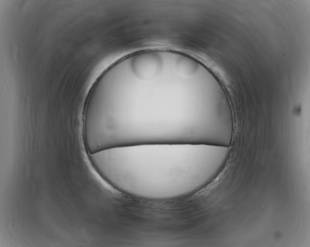 X0000097461239200802220759