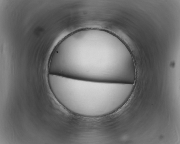 X0000097461240200802220759