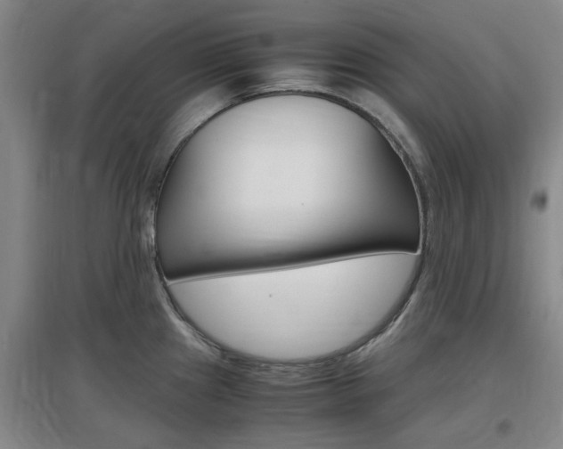 X0000097461241200802220759