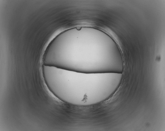 X0000097461243200802220759