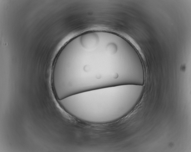 X0000097461245200802220759