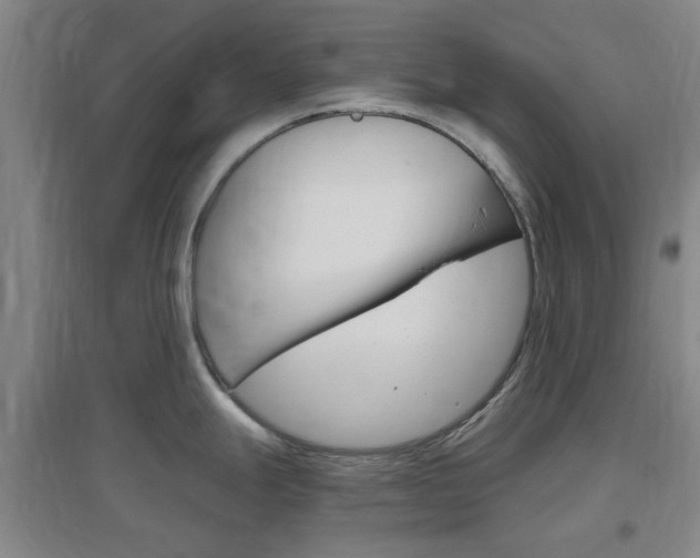 X0000097461247200802220759