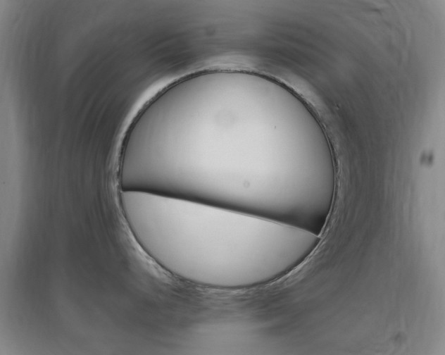X0000097461248200802220759