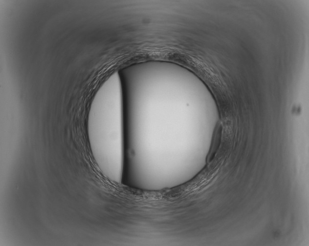 X0000097461249200802220759
