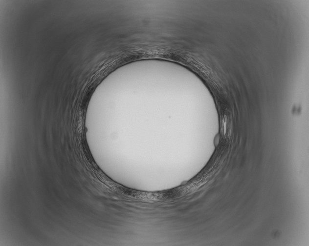 X0000097461251200802220759