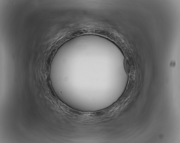 X0000097461253200802220758