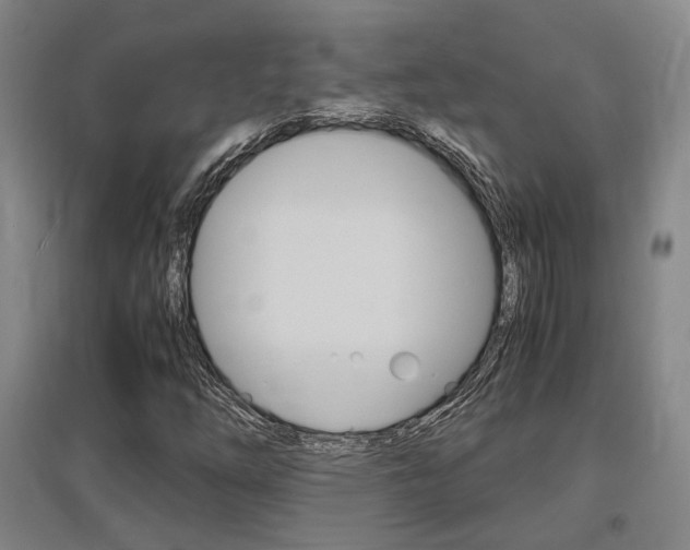 X0000097461254200802220758