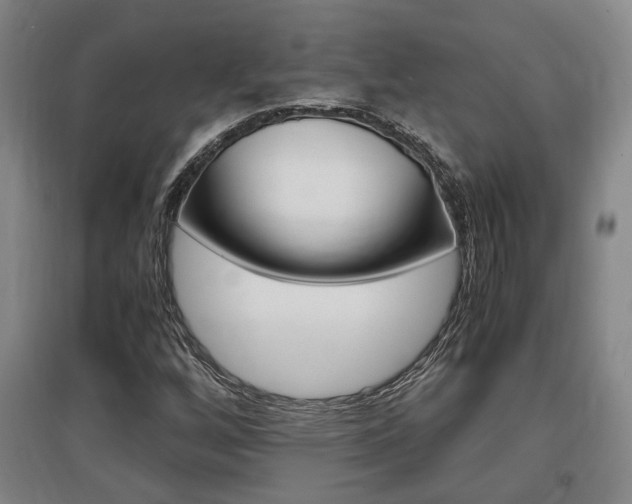 X0000097461256200802220758