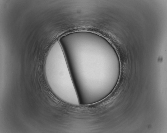 X0000097461257200802220758