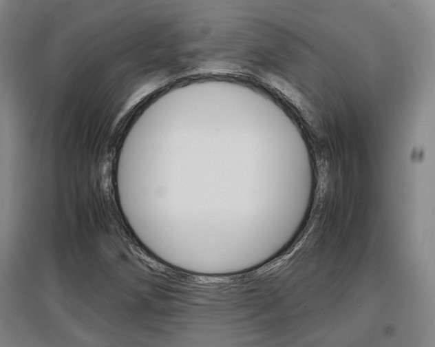 X0000097461258200802220758