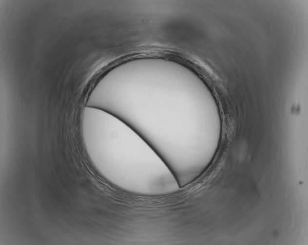 X0000097461259200802220758