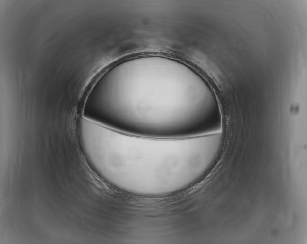 X0000097461260200802220758