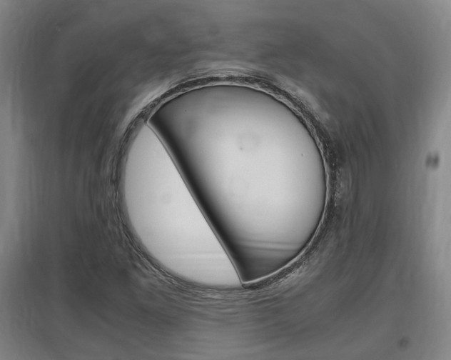 X0000097461261200802220758