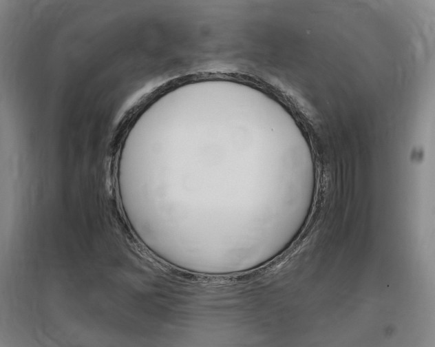 X0000097461262200802220758