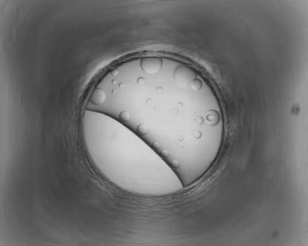 X0000097461263200802220758