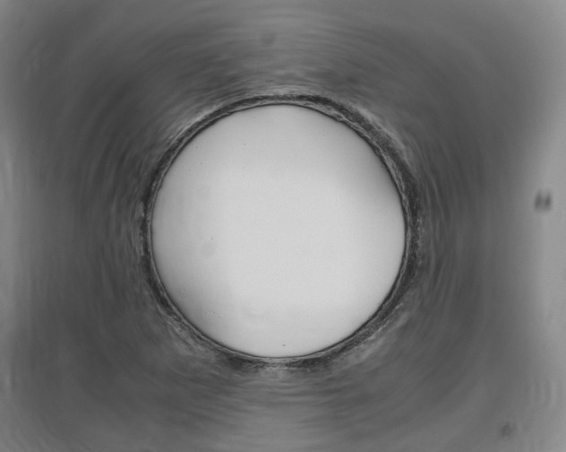 X0000097461265200802220758
