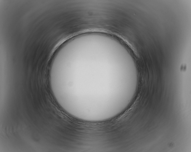 X0000097461266200802220758