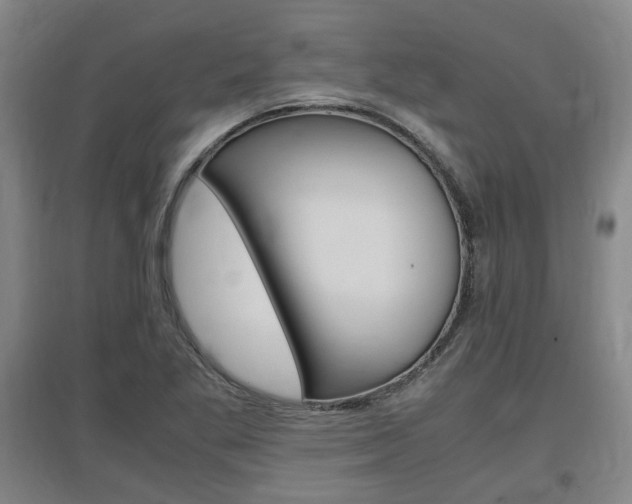 X0000097461269200802220758