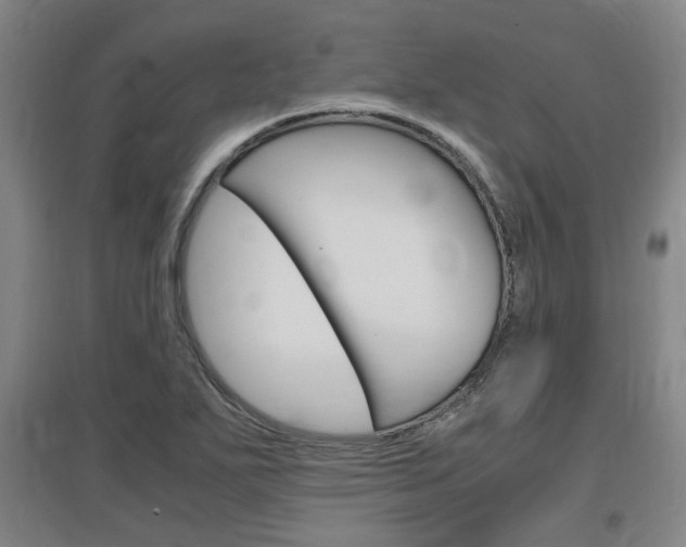 X0000097461271200802220758