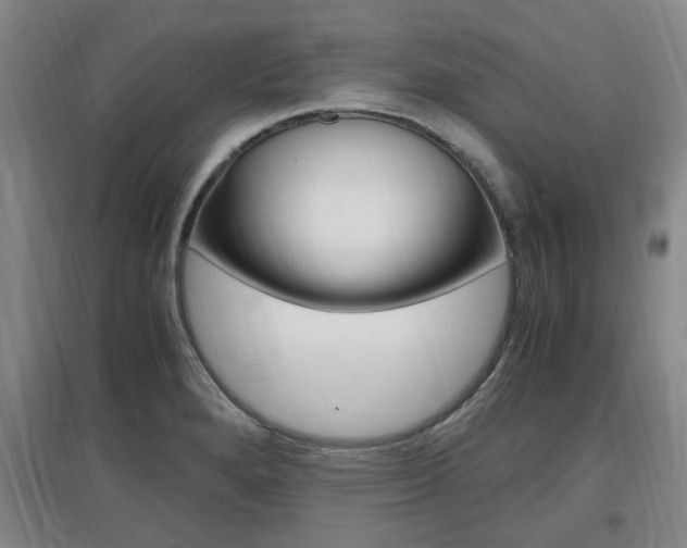 X0000097461280200802220758