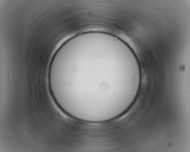 X0000097461282200802220758