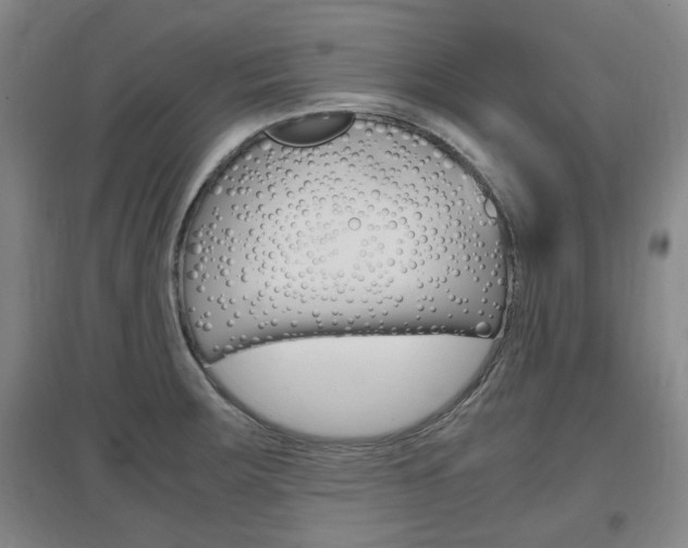 X0000097461283200802220758