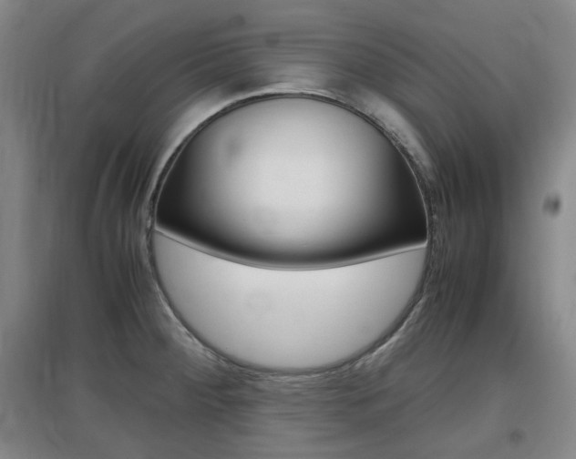 X0000097461284200802220758