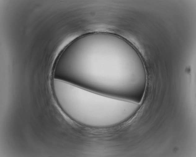 X0000097461285200802220758
