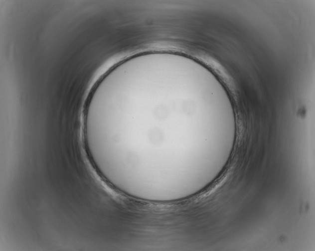 X0000097461286200802220758