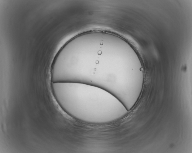 X0000097461287200802220758