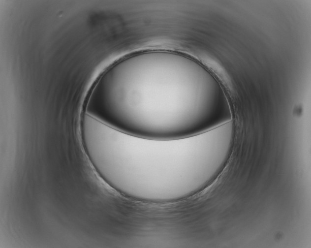 X0000097461288200802220758