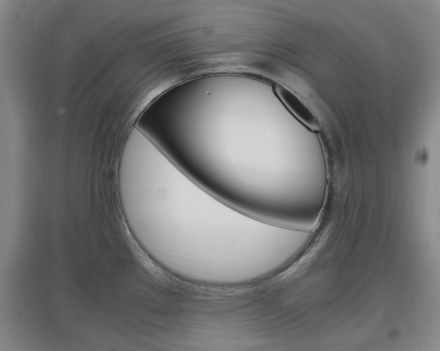 X0000097461289200802220758