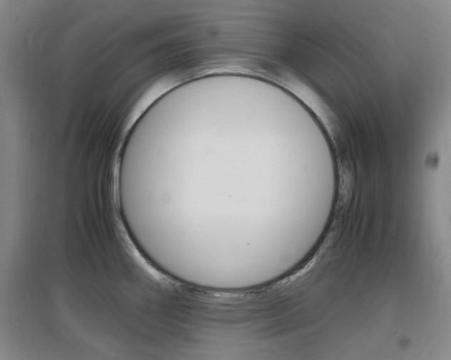X0000097461290200802220758