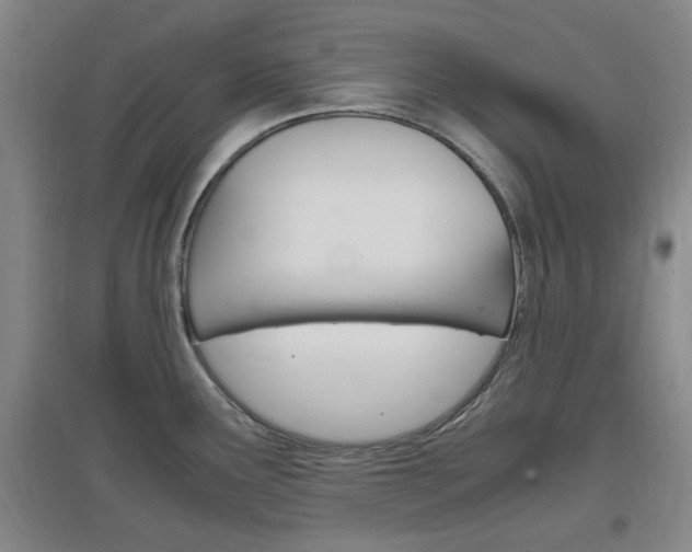X0000097461291200802220758