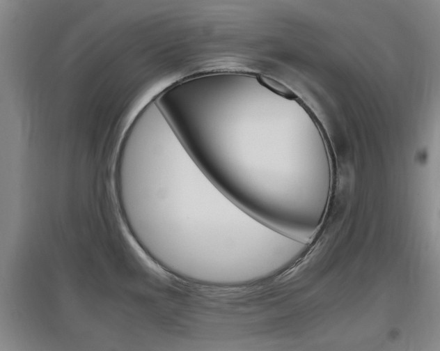 X0000097461293200802220758