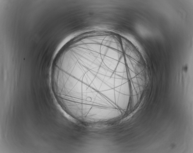 X0000097461294200802220758